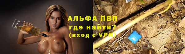 стафф Семикаракорск