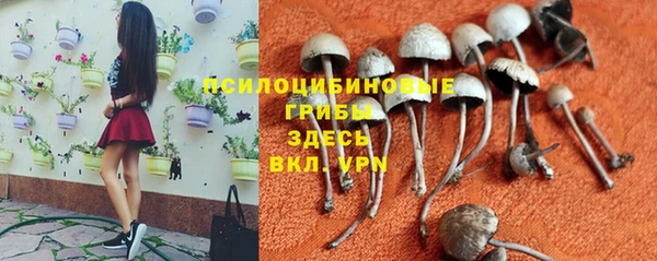 MDMA Premium VHQ Семилуки