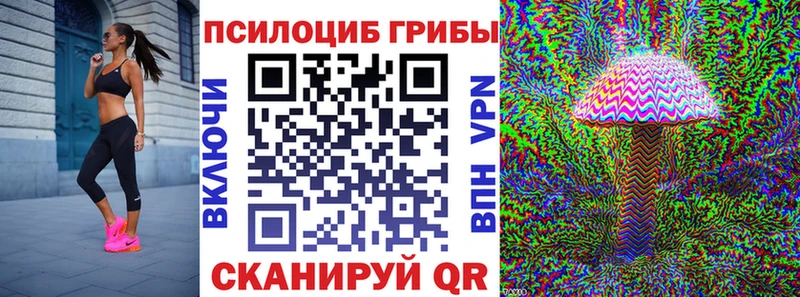 Галлюциногенные грибы Cubensis  Купить  Нижний Тагил 